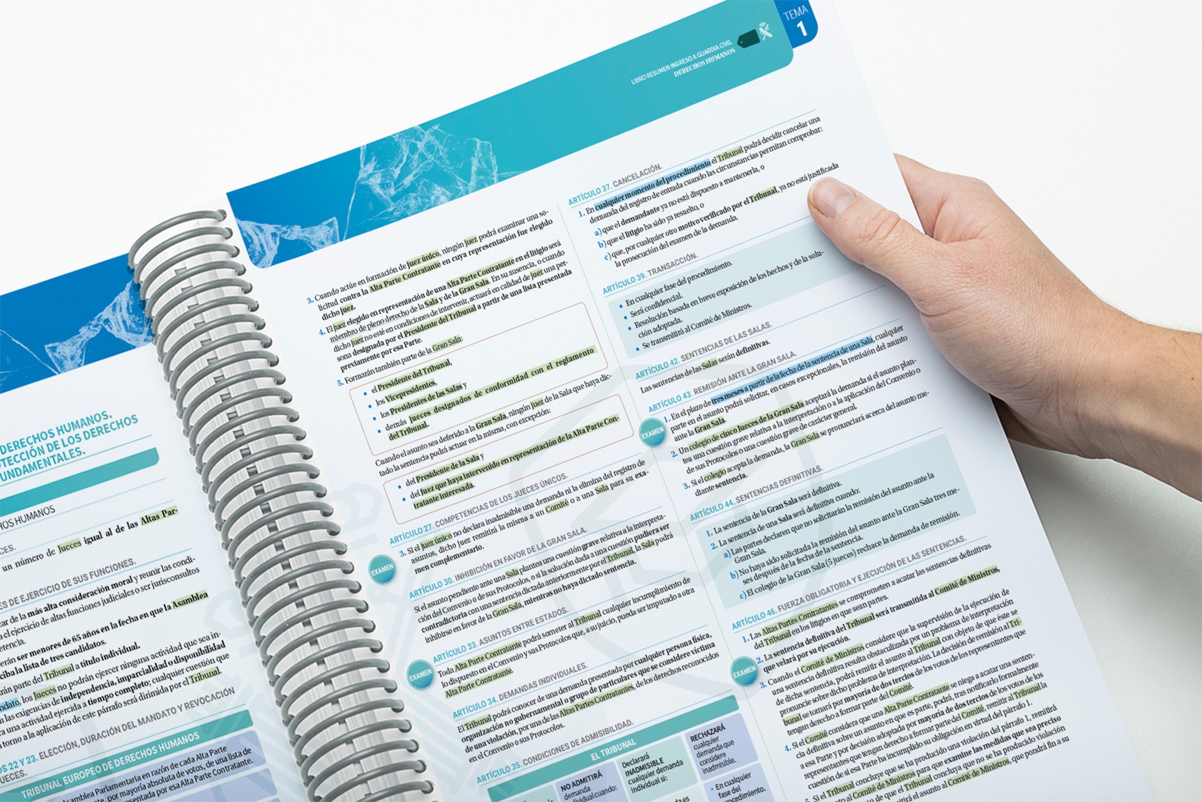 Libro Resumen Guardia Civil