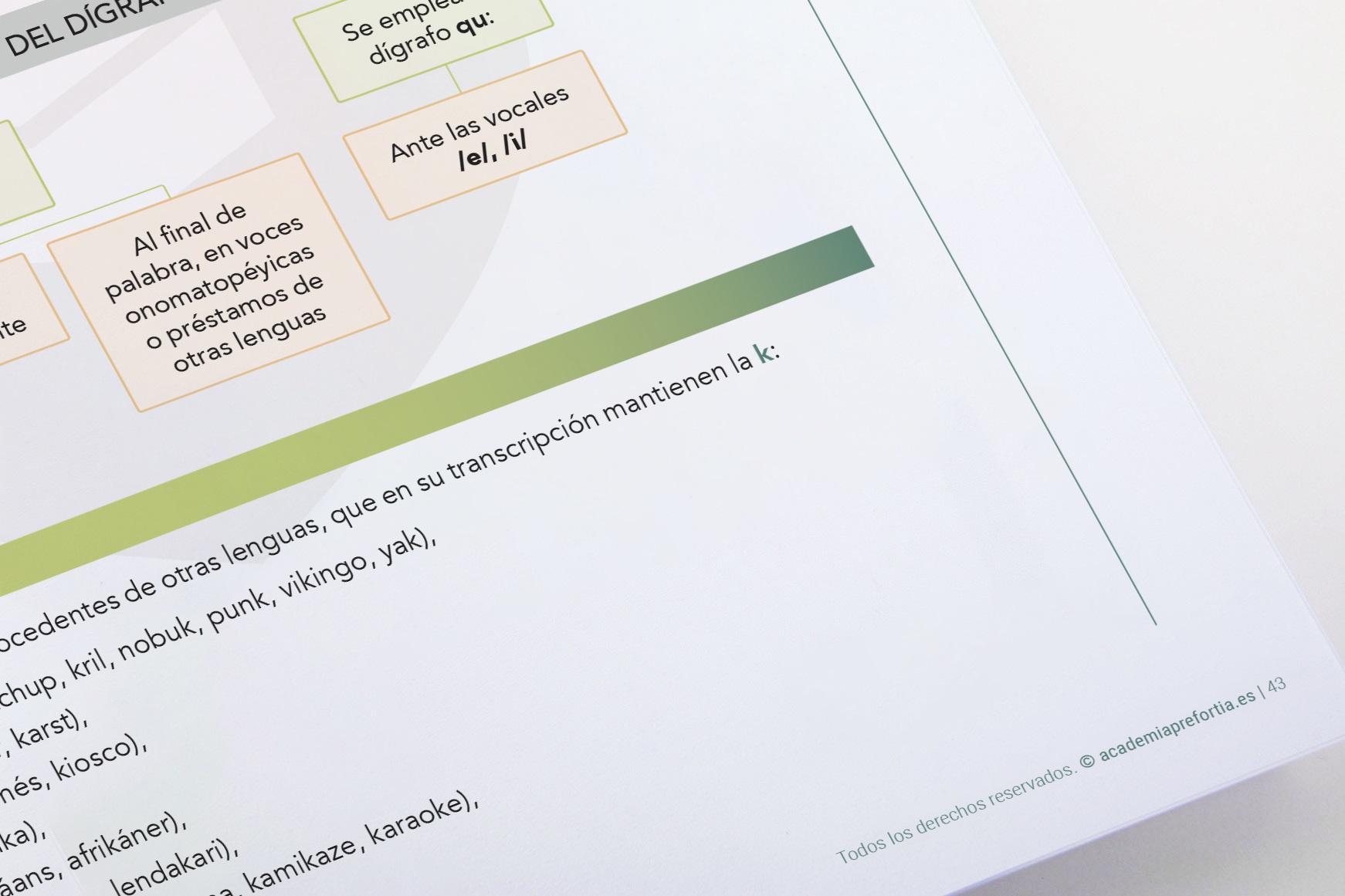 Libro Ortografía y Gramática